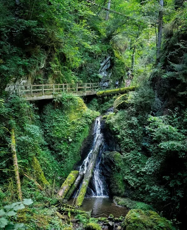 Wutachschlucht entdecken.